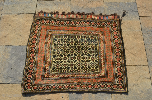 A wonderful Northwest Persian bagface, great color, with an incredible green.  This measures 27" x 30"                