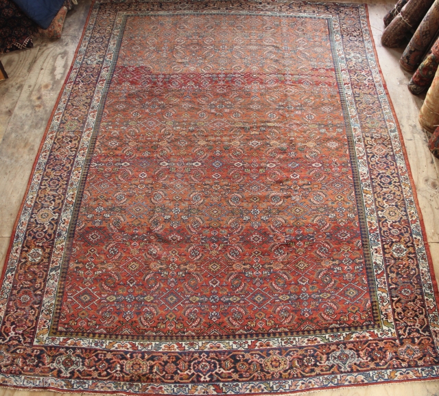 Antique Malayer carpet 10'2" x 13'6" / 307 x 416cm evenly low pile.                    