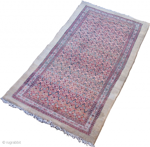 Serab/Bakshaish long rug- North-West Persian, camel ground with field having allover flowerhead lattice enclosed by flowerhead (carnation) and diagonal main border with reciprocal 'Y' guards. Colours: camel, red, green, indigo, blue, pink,  ...