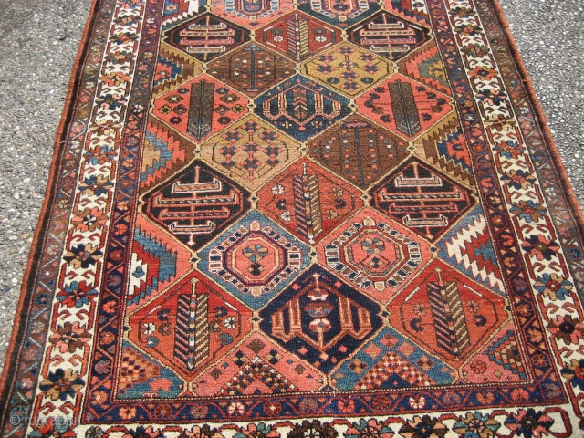 Bahktiari rug 4' 6" x 6' 10" with an unusual color palette.
Low even pile all over.  This rug was restored about 10 years ago by Woven Legends Restorations.  There was  ...