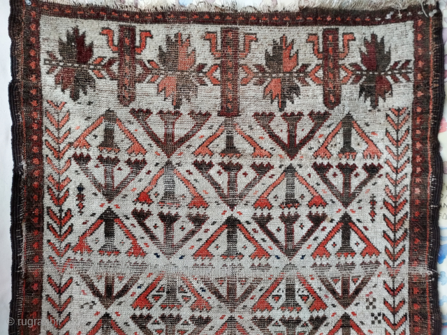 LOST / STOLEN  Baluch mall rug, USPS Priority Mail shipped 28 May 2024. It is a unique piece and will turn up in the trade some time in the future.  