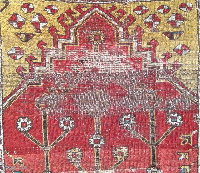 Early 19th century Anatolian 3 Trees Prayer rug, 86 x 135 cm. Rare village weaving with heavy damage, priced accordingly. USD 495.- Please check out my other antique Anatolians posted here and  ...