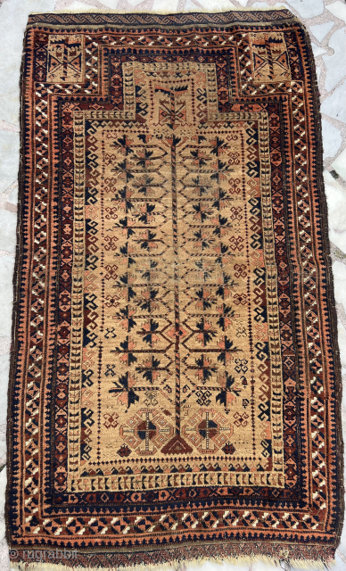 Beluch carpet  size 150/95                            