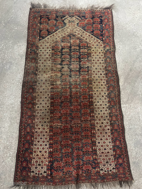 Beshir prayer rug                              