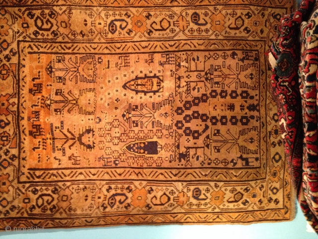 A carpet harat Afganistan attuale 122x160 condizione perfetto                         