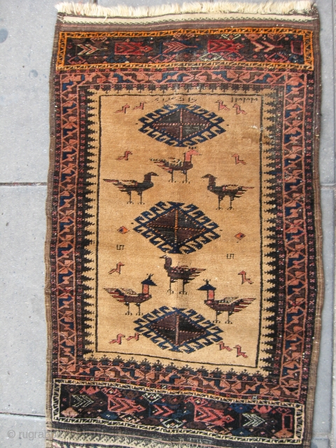 
Beluch.115x69 cm.Early 20cen.                              