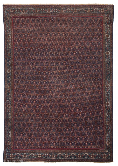 Very Fine BiBikabad Rug
Size 6.5 x 4.5 ft.                         