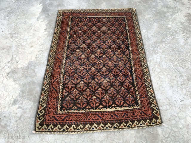 311 BELOCHI RUG FT (4 x 2.8) M (1.23 x 0.81)                      