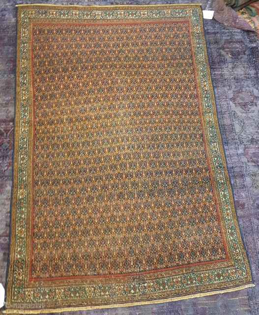 Antique Very Fine Persian Rug 1.95 x 1.60                         