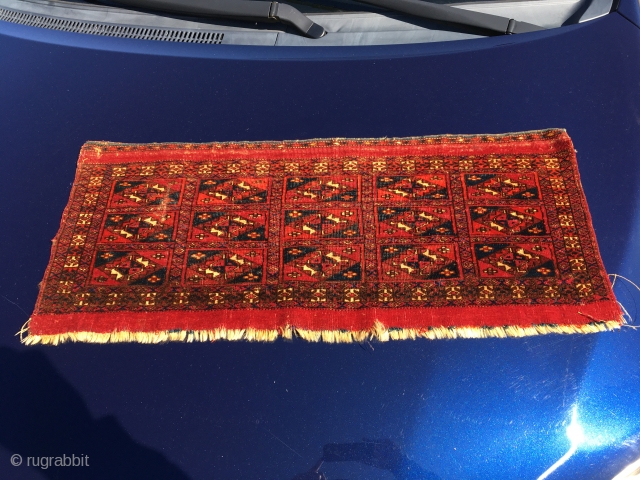 Great boarder, nice floppy feel and wool. It was washed professionally and moth proved.  Kindly, contact me directly kia@artofpersianrugs.com
Thank You!            