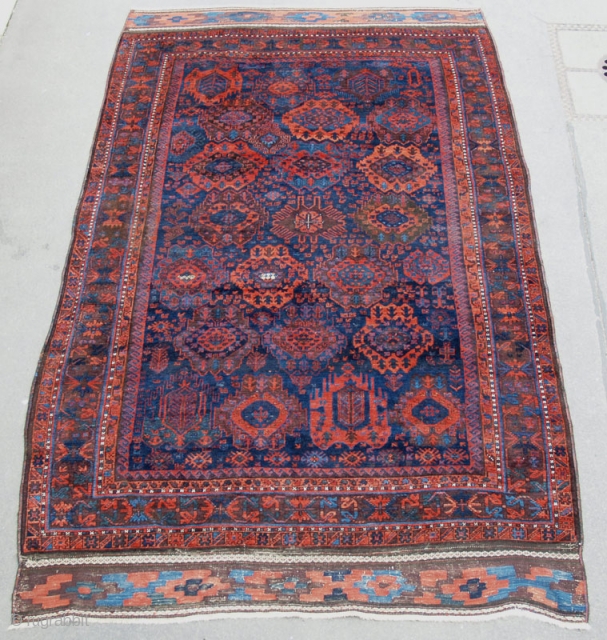 Baluch Timuri 313(359)x217cm                              