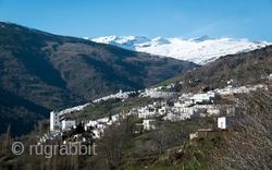 
DO NOT BE COLD THIS WINTER.

A TYPICAL SMALL VILLAGE WHERE ALPUJARRA RUGS ARE WOVEN in many homes. They are at altitudes of 4000 to 5000 feet and one, Trevelez, is the highest  ...