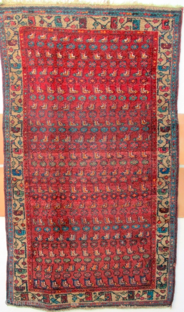 OLD RUG FROM MEHRABAN IN THE HAMADAN REGION which is very tightly woven on fine cotton warps. The weave pattern is virtually identical to a rug featured in the excellent text book  ...