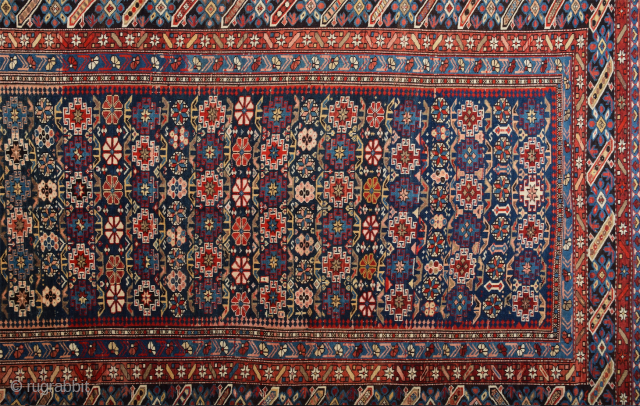 19th Century Shirvan Chi-Chi Rug in Perfect condition Size 150 x 278 cm                    