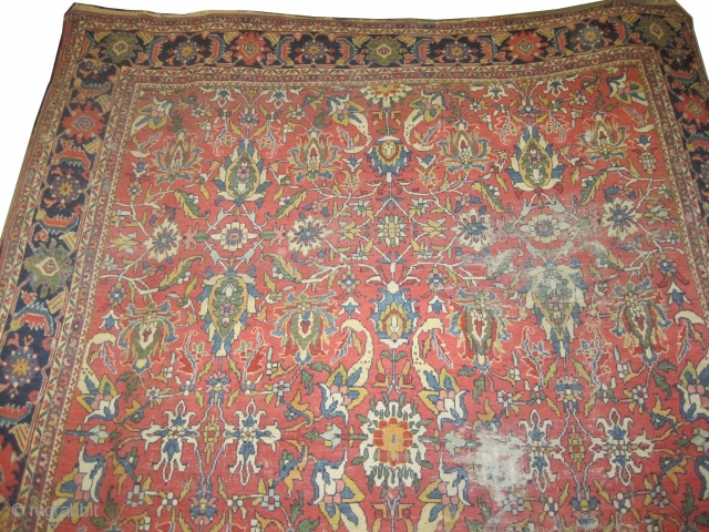 
 Ziegler-Mahal Persian knotted circa in 1890, antique, 338 x 282 (cm) 11' 1" x 9' 3"  carpet ID: P-4737
The black knots are oxidized, the knots are hand spun lamb wool,  ...