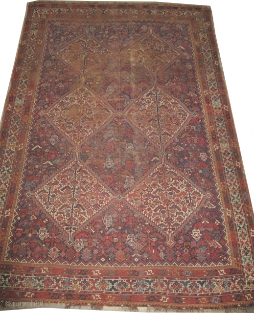 Shiraz-Khamse Persian knotted circa 1900 antique. 328 x 224cm  carpet ID: P-5741
The black knots are oxidized. The knots, the warp and the weft threads are hand spun lamb wool. The background  ...