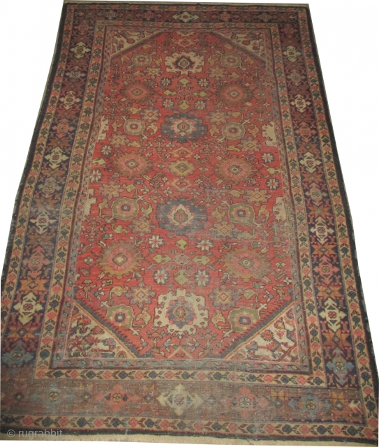 
Mahal Persian antique,  310 x 202 (cm) 10' 2" x 6' 7"  carpet ID: P-5312
The knots are hand spun wool, the black knots are oxidized, the background color is terracotta,  ...