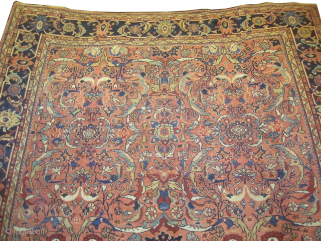 	

Ziegler-Mahal Persian knotted circa in 1905 antique, 387 x 270 (cm) 12' 8" x 8' 10"  carpet ID: P-6280
The background color is terracotta, allover design, the surrounded large border is indigo,  ...