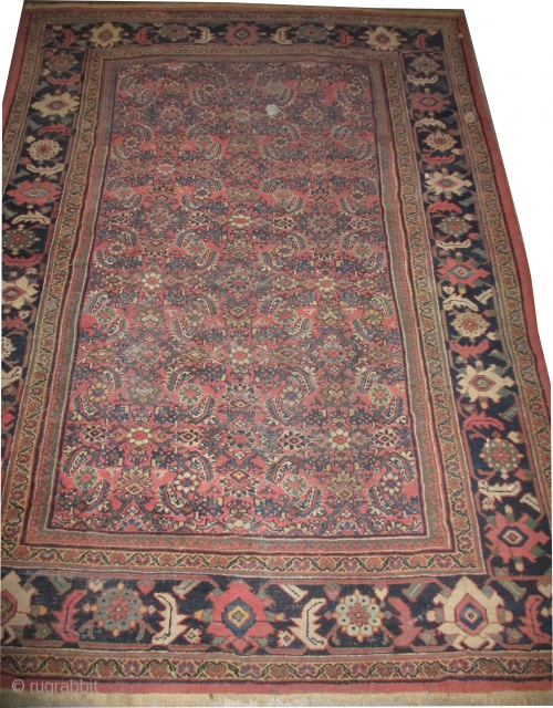 Mahal Persian, knotted circa in 1912 antique, 307 x 223 (cm) 10' 1" x 7' 4"  carpet ID: P-4907
The black knots are oxidized, the knots are hand spun wool, allover Herati  ...