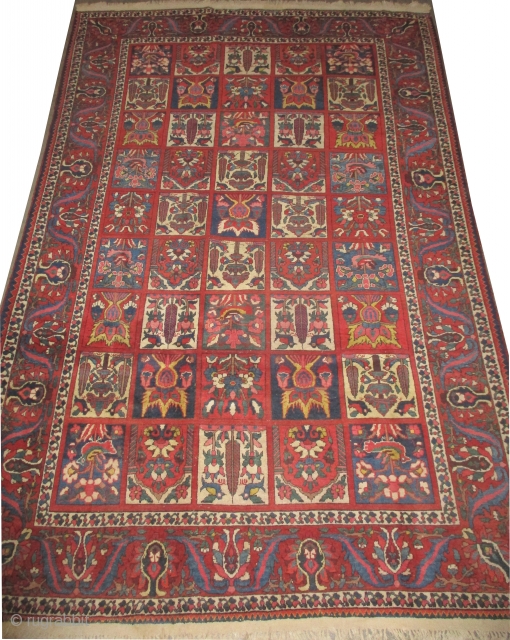 
	

Baktiar-Paradoumbe Persian, knotted circa in 1935 semi antique, 313 x 205 (cm) 10' 3" x 6' 9"  carpet ID: P-4087
The knots are hand spun wool, allover geometric garden design, the surrounded  ...