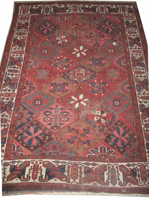 

Baktiar Persian, knotted circa in 1920 antique, 300 x 220 (cm) 9' 10" x 7' 3" 
 Carpet ID: P-4987
The knots are hand spun wool, the black knots are oxidized, the background  ...