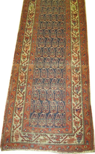 
Malaier Persian, circa 1905, antique. Collector's item, Size: 414 x 98 (cm) 13' 7" x 3' 3"  carpet ID: K-3852 
vegetable dyes, the black color is oxidized, the knots are hand  ...