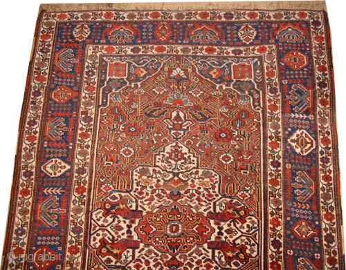 
Shiraz Khamse circa 1910 antique, collector's item, Size: 264 x 170 (cm) 8' 8" x 5' 7" carpet ID: K-4302 
 vegetable dyes, the black color is oxidized, the knots are hand  ...