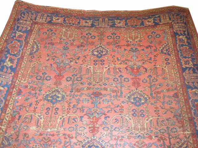 Mahal Persian knotted circa in 1905 antique, collector's item, 360 x 275 (cm) 11' 10" x 9'  carpet ID: P-5065
The black knots are oxidized, the knots are hand spun wool, all  ...