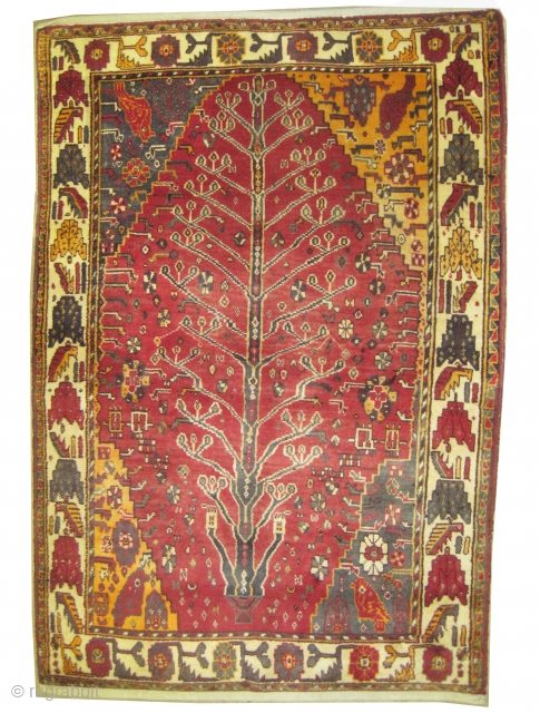 



Gabbeh Nomad Persian semi antique, 162 x 111 cm,  carpet ID: T-576
The knots are hand spun lamb wool, tree of life design, the edges are finished with 2cm kelim, the shirazi  ...