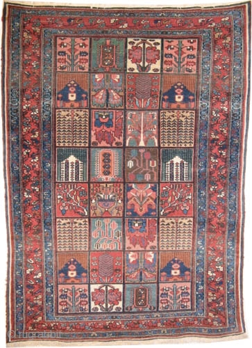 Baktiar Persian circa 1900 antique. Collector's item. Size: 199 x 144 (cm) 6' 6" x 4' 9"  carpet ID: K-4166
Vegetable dyes, high pile, good condition, the knots are hand spun lamb  ...