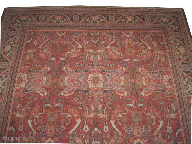 	

Ziegler-Mahal Persian knotted circa in 1905 antique, 577 x 330 (cm) 18' 11" x 10' 10"  carpet ID: P-413
The black knots are oxidized, high pile in good condition, the knots are  ...