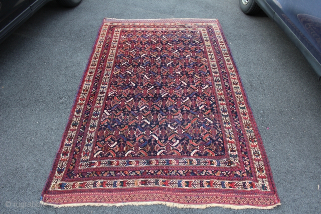 Afshar nomad main rug. 8'5" x 5'1". Late 19th century. Very rare to find this size in Afshar rugs. The design is most often seen on Afshar and Khamseh bags. Sides and  ...