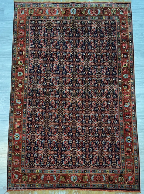 Antique Halwai Bidjar Rug in good condition available!
Circa 1900-1910 
Size 220x140cm 
Fringes are wool and high knot count.               