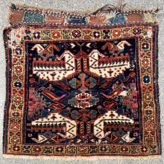 NW Persian Kurdish Sanjabi Bagface. Has some old moth damage, clean and glowing wool and colors. 22” x 21” - 56 x 53 cm.         