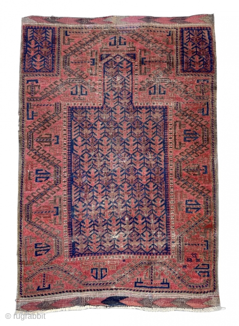 Super Cool Baluch Prayer Rug that may be from the Dokhter e Qazi group - love the border solution specially around the mihrab - 38" x 56" - 97 x 143 cm. 