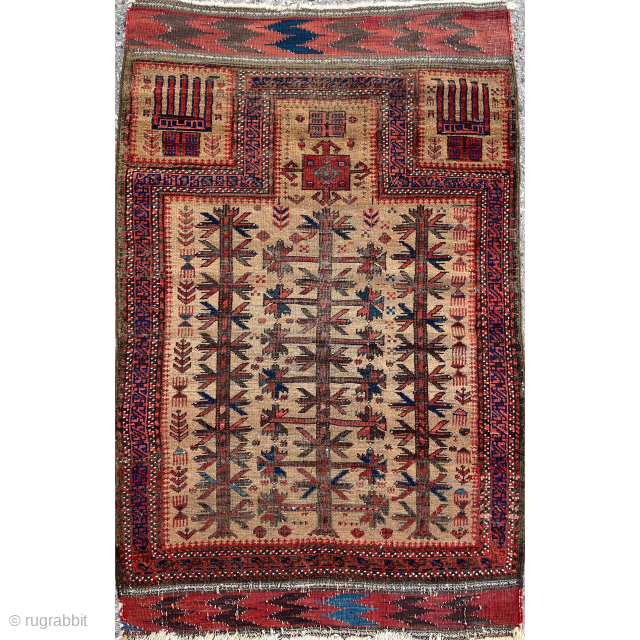 Baluch Prayer Rug with camel field and chevron kilim ends- less common patterns and lovely color palette - email yorukrugs@gmail.com for details - priced to sell       