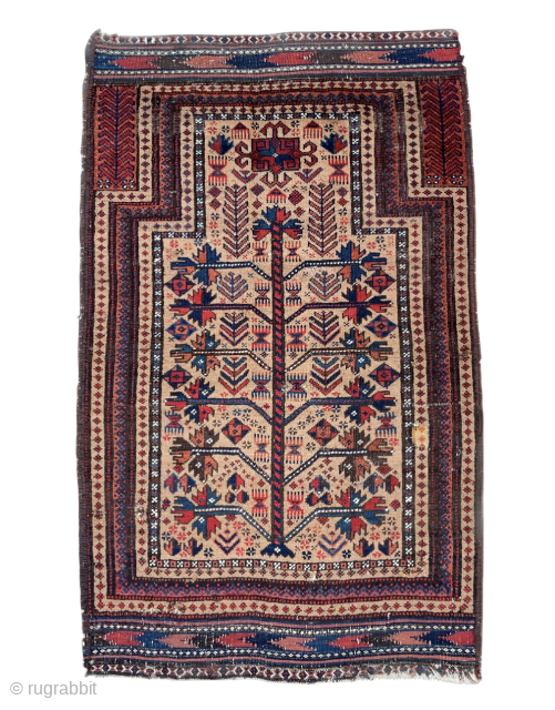 Baluch Prayer Rug with Tree of life on a camel field - its all in the details plus great colors - offered reasonably please email - yorukrugs@gmail.com      