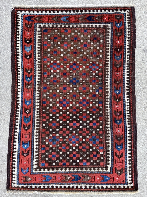 Beautiful Old Timuri Baluch Rug - 30" x 45" - 76 x 114 cm - click on image to download original picture for high resolution or email me for it!   