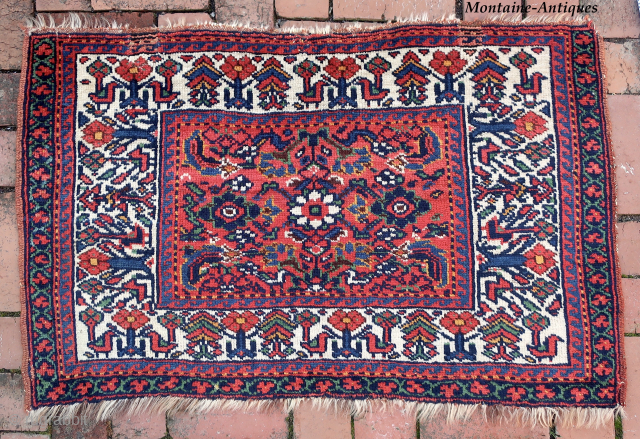 Large Southwest Persian Rug/Bag Face-- approx 26 × 41”

Bright saturated colors. Possibly Luri-Bahktiari. Note bird motifs (Khamseh influence?). Interest in tribal textiles eventually compelled JD to seek things other than Baluch.

Ex James  ...