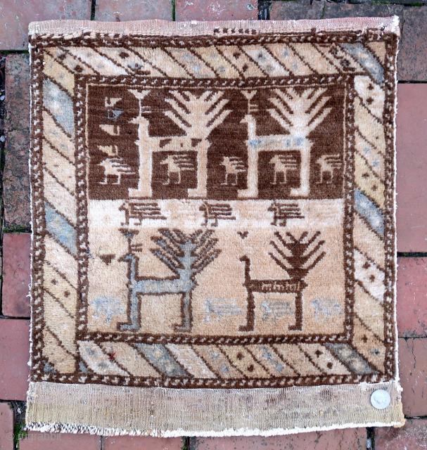 Caucasian Tribal Bag Face-- 18 × 20” 


Border affirms Caucasian origin. Large bold Peacock figures hark of Shasavan. 

CONDITION: Excellent with minor imperfections as shown.

Call Rob @ the shop for discussion of  ...