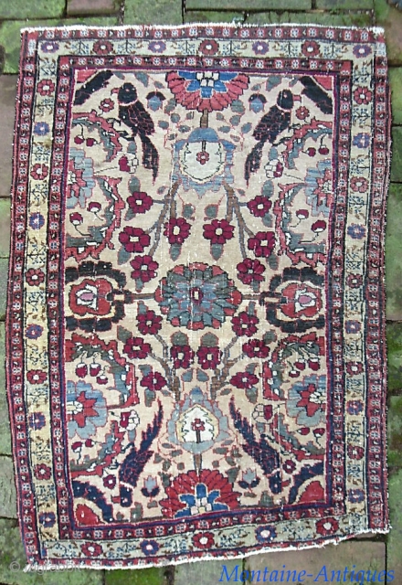 Old Persian Pushti.  24 x 34 inches. Lovely old ivory ground piece of uncertain  origin and I won't hazard a guess. Very fine weave. Double wefted on cotton foundation. Fine  ...