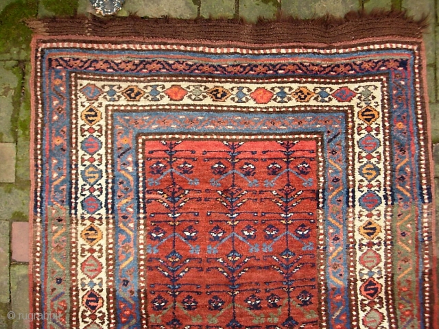 Sauj Bulak-- 3.5 x 14.1. Honest old ethnographic Kurd. Please call for condition Report. Check out abundant fresh posts on our web site: http://www.montaine-antiques.com/oriental-rugs/         