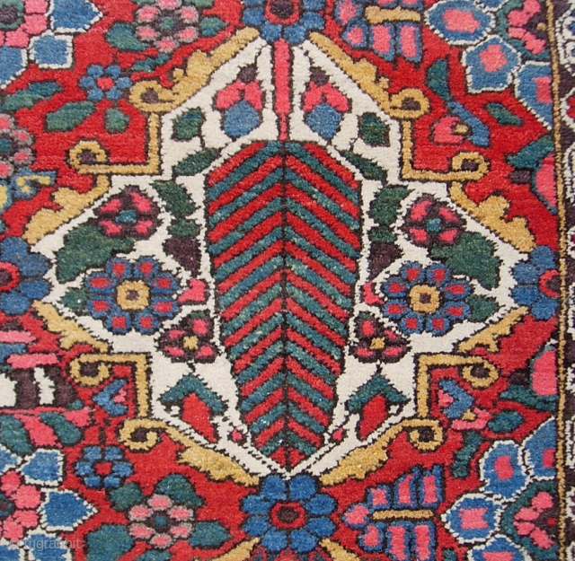 Bahktiari-- 5 ft 0 inches x 6 ft  5 inches. A squarish rug several notches better than your average garden variety garden Bahktiari. Extra pretty colors and no apologies for condition.  ...