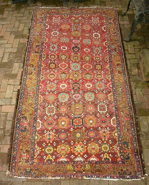 Bahktiari-- 5 ft 4 in x 10 ft 1 in. Some of the warps are cotton and some are wool. Hard to find foyer size. You don't often see a Bahktiari with  ...