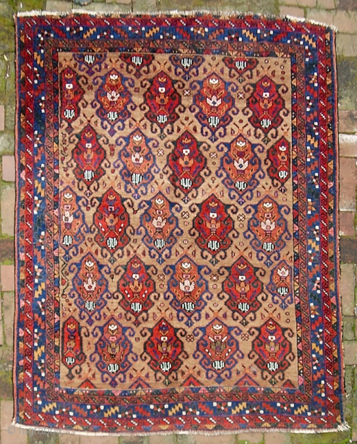 Afshar-- 3 ft 10 inches x 5 ft 6 inches. Decorative little rug with camel ground and scarabs (or whatever). All good dyes. All wool foundation. The warps are candy cane spun  ...