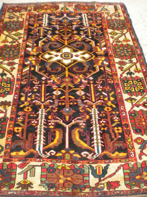 Beautiful wool on wool Bakhtiari from the 1920's to 1930's.  Size is 4'4"x6'1".  No repairs, no animal stains or urine smell, full pile, high quality.      