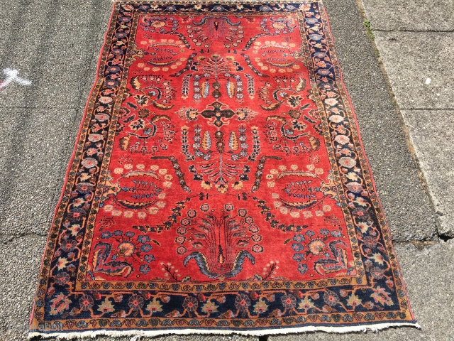 Mint 4'x 6' Antique Sarouk.                            