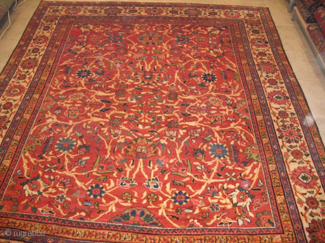 ANTIQUE MAHAL
CIRCA 1920
PERFECT CONDITION
SIZE : 260 X 315
ITEM NO. 114                       