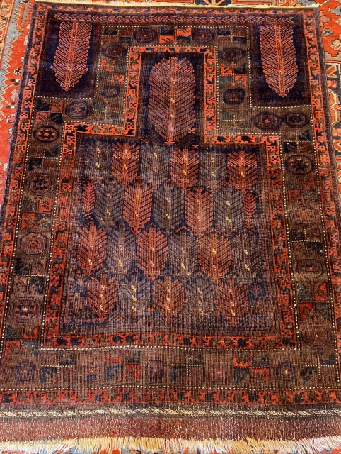 Baluch Prayer 19th century with silk knot highlights,
repaired ends, ex Michael Craycraft classic                    