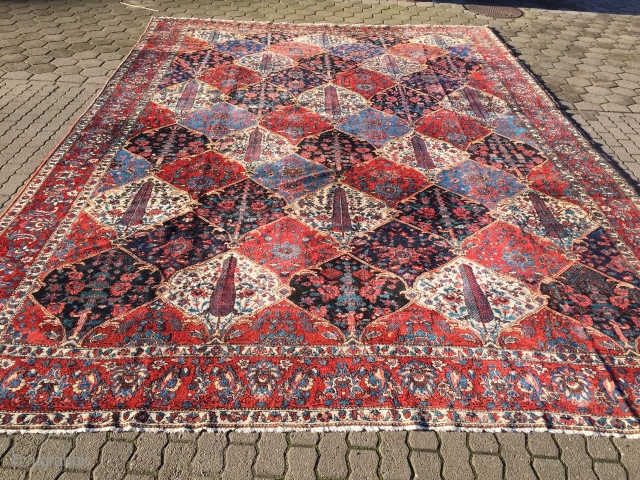 Large Persian Bakhtiary carpet, fine quality, beautiful colors, very decorative, age: circa 1920. Size: ca. 495x355cm /16'2''ft x 11'6''ft              